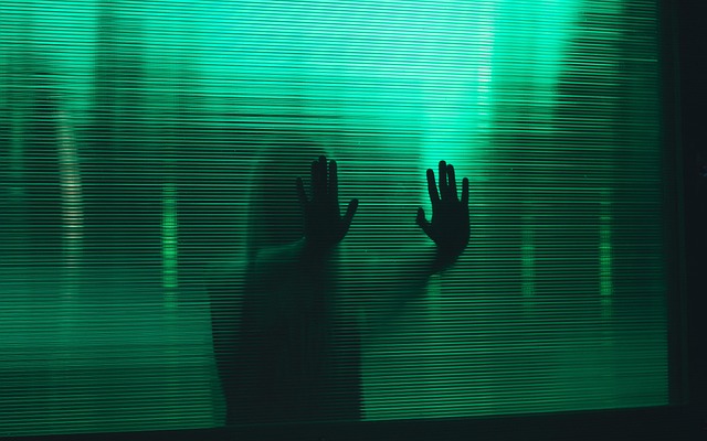 Phantom Vignettes